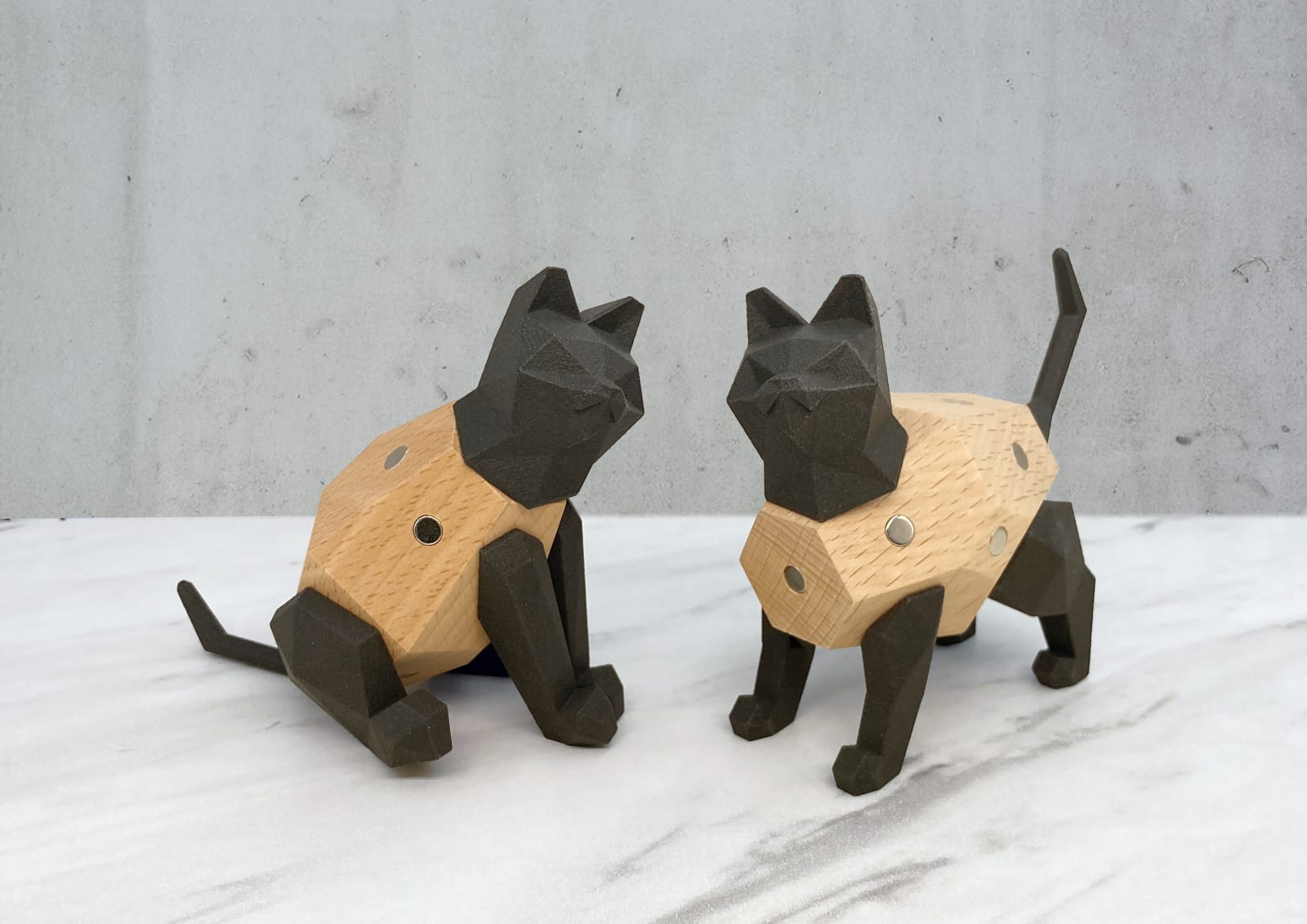 SNAPX, Sapiens Design Limited / Hong Kong