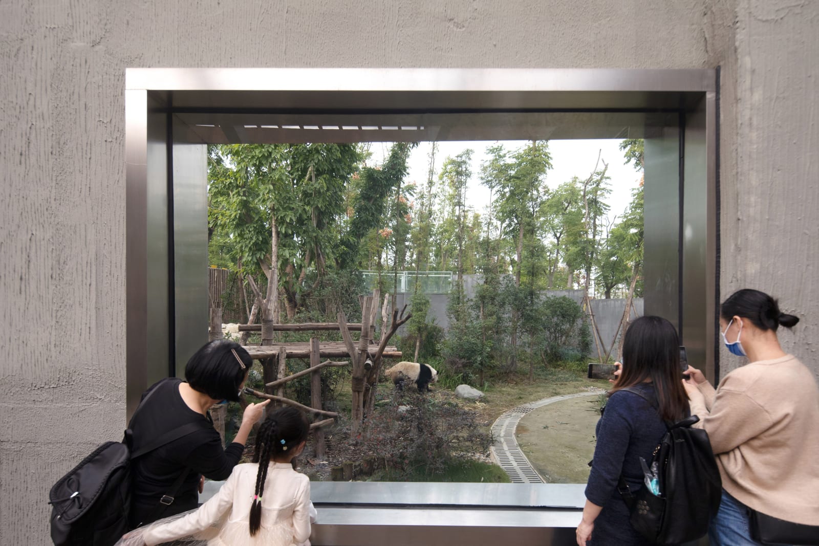 The Panda Pavilions / The Mainland, Atelier Ping Jiang | EID Arch / The Mainland