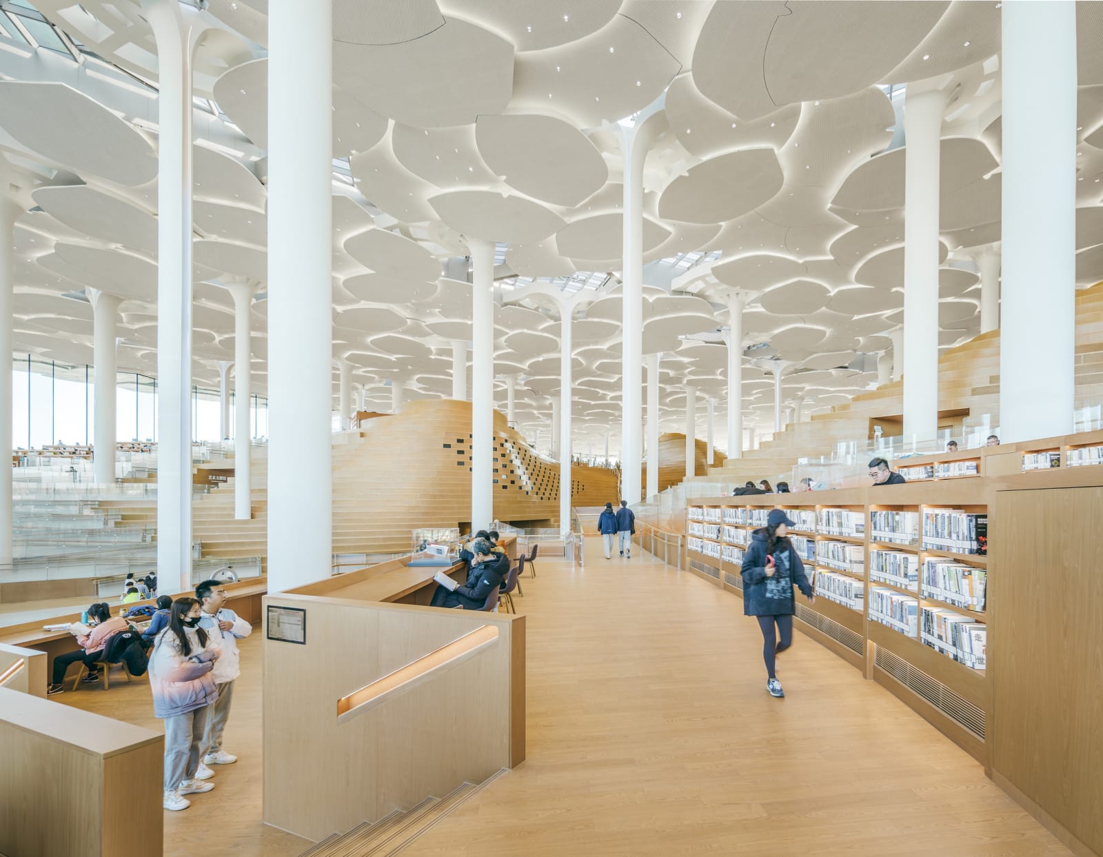 Beijing Library / The Mainland, Snøhetta / Norway
