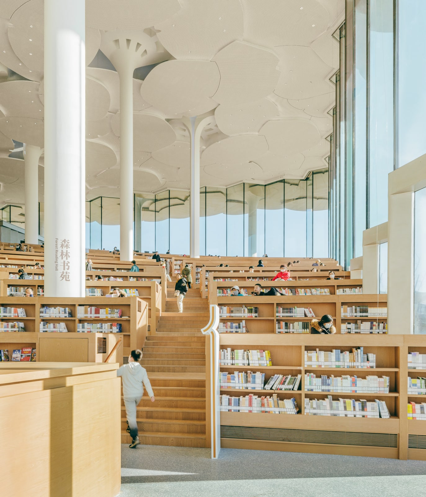 Beijing Library / The Mainland, Snøhetta / Norway