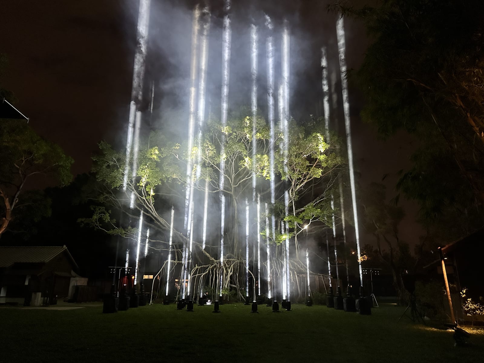 Glow of the Centennial Banyan / Taiwan, FREES DESIGN INTERNATIONAL CO., LTD. / Taiwan
