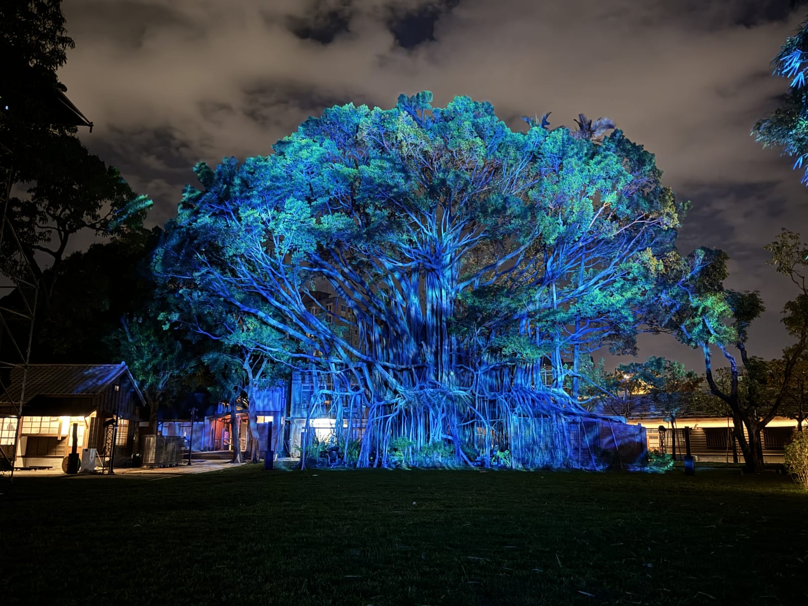 Glow of the Centennial Banyan / Taiwan, FREES DESIGN INTERNATIONAL CO., LTD. / Taiwan