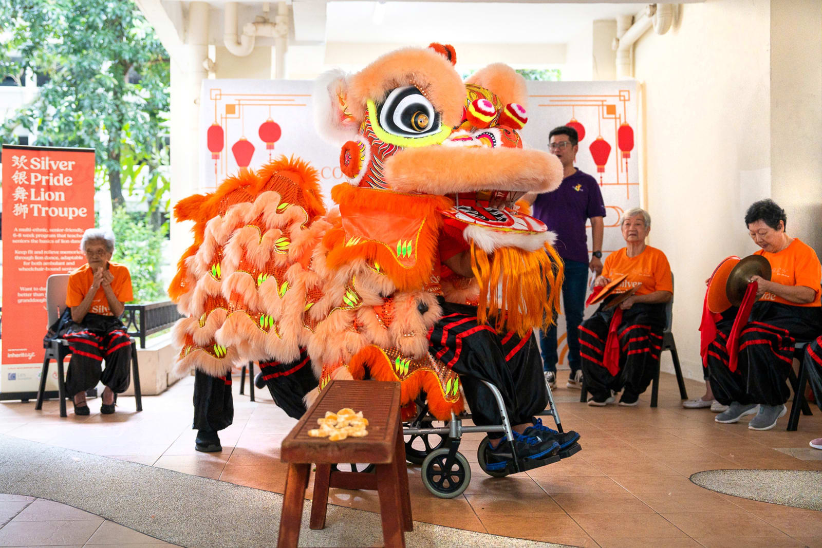 Silver Pride Lion Troupe, NextOfKin Creatives Pte Ltd and Bridging Generations Pte Ltd / Singapore