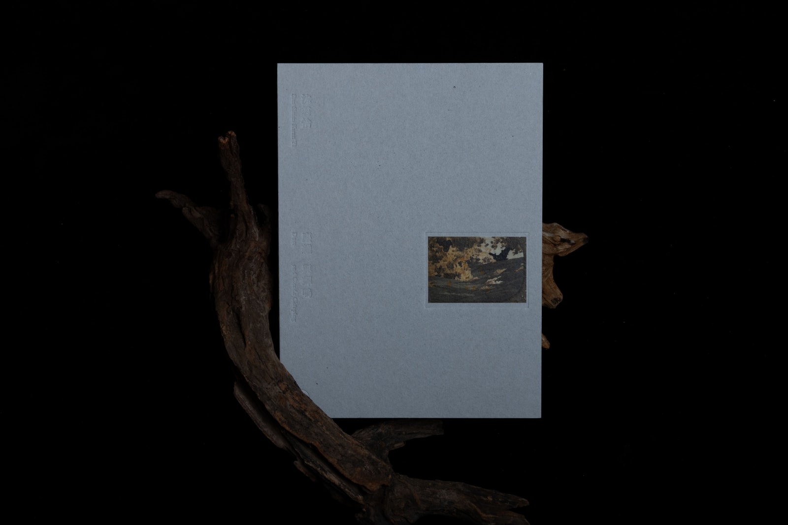 Dust & Cicada Chirping, for&st / Hong Kong