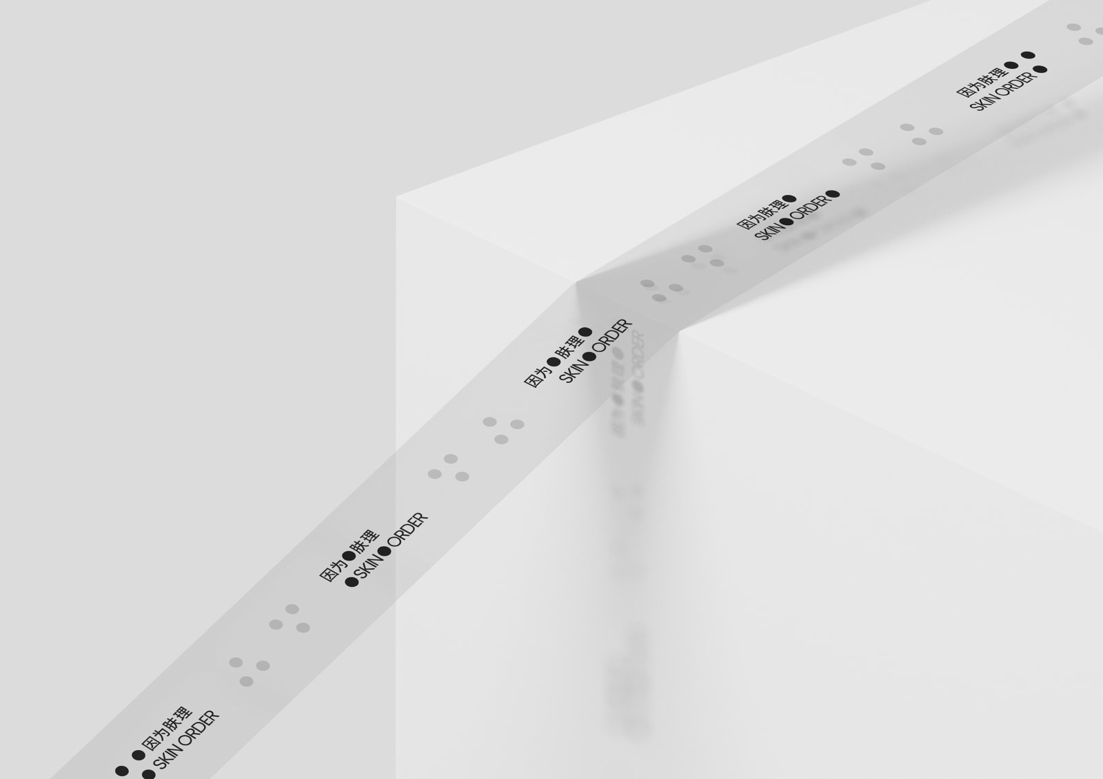 SKIN ORDER, THE END DESIGN / The Mainland