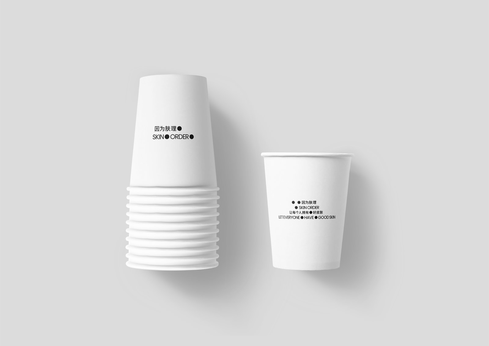 SKIN ORDER, THE END DESIGN / The Mainland