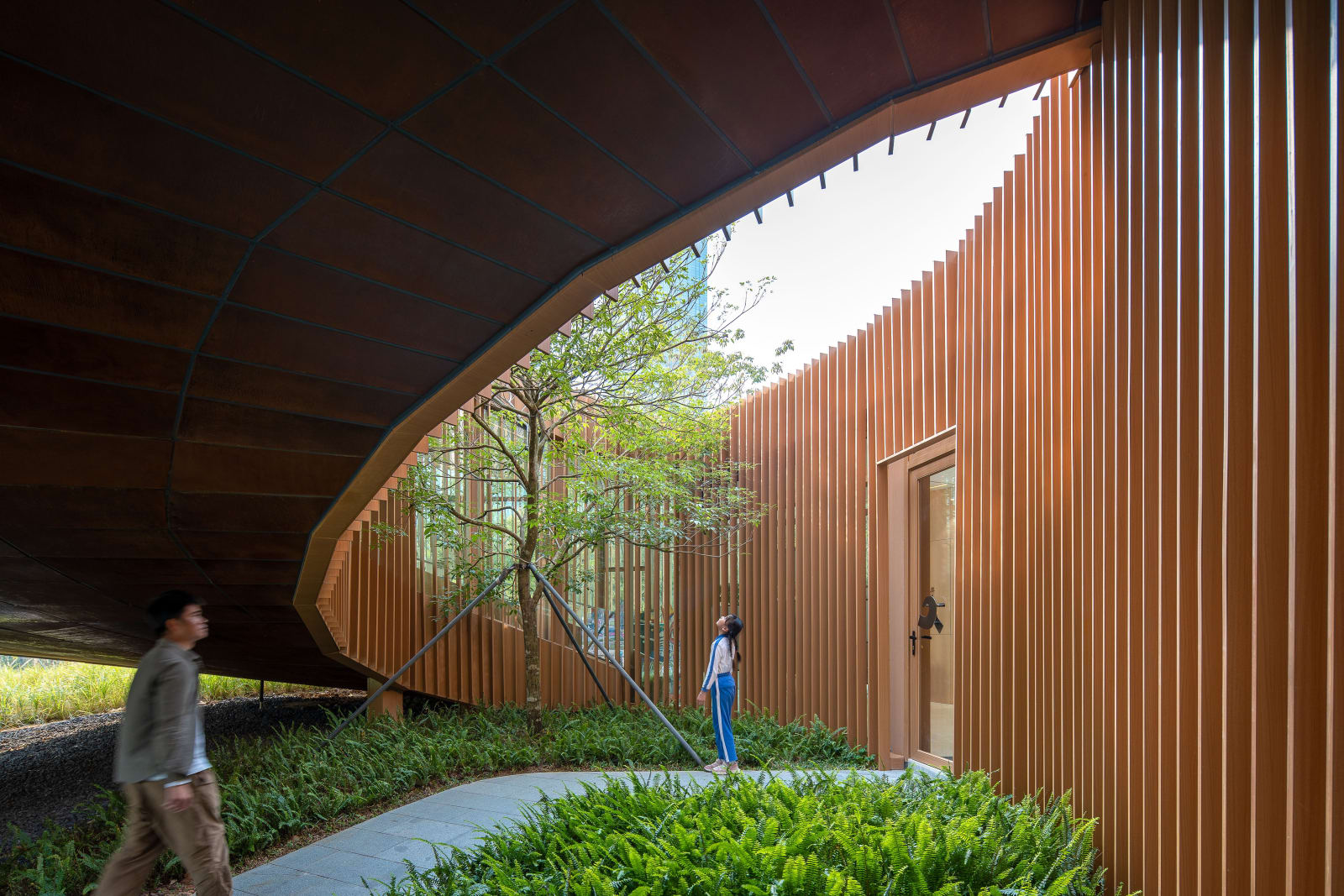 Serpentine Bookhouse / The Mainland, ATELIER XI / The Mainland