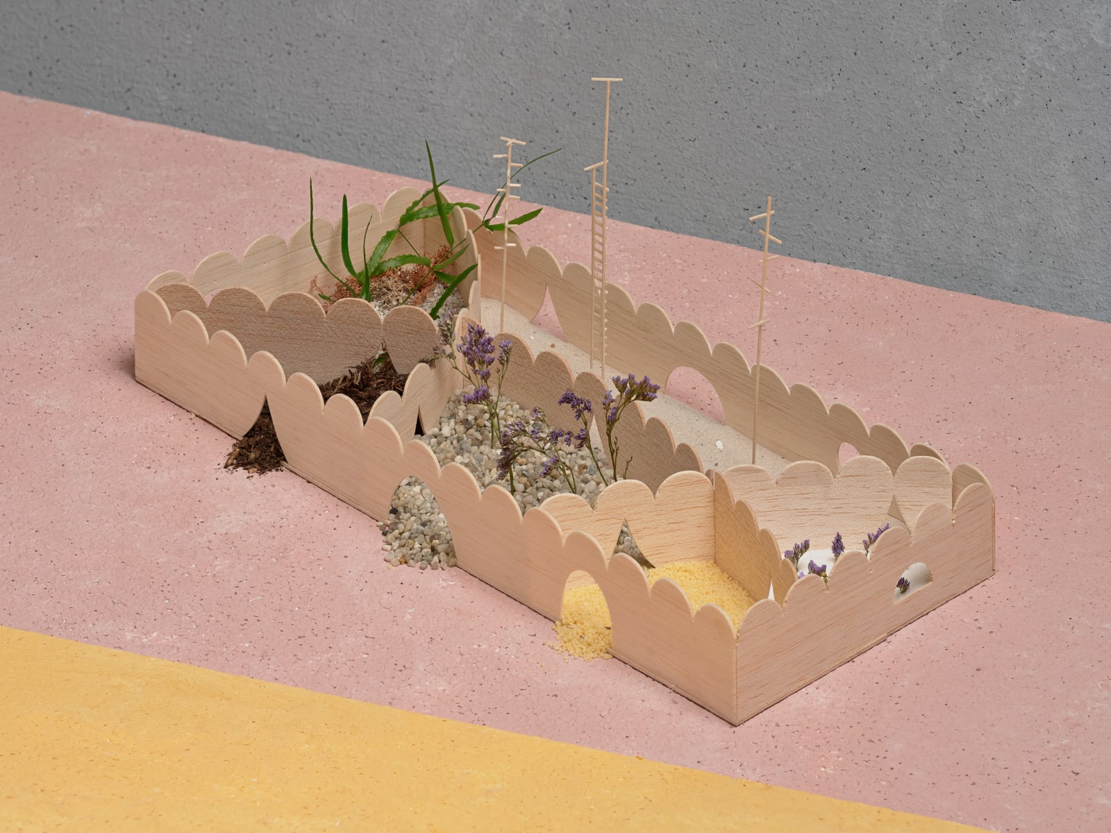 Chan Sze Wing / CreateSmart Young Design Talent Award 2024