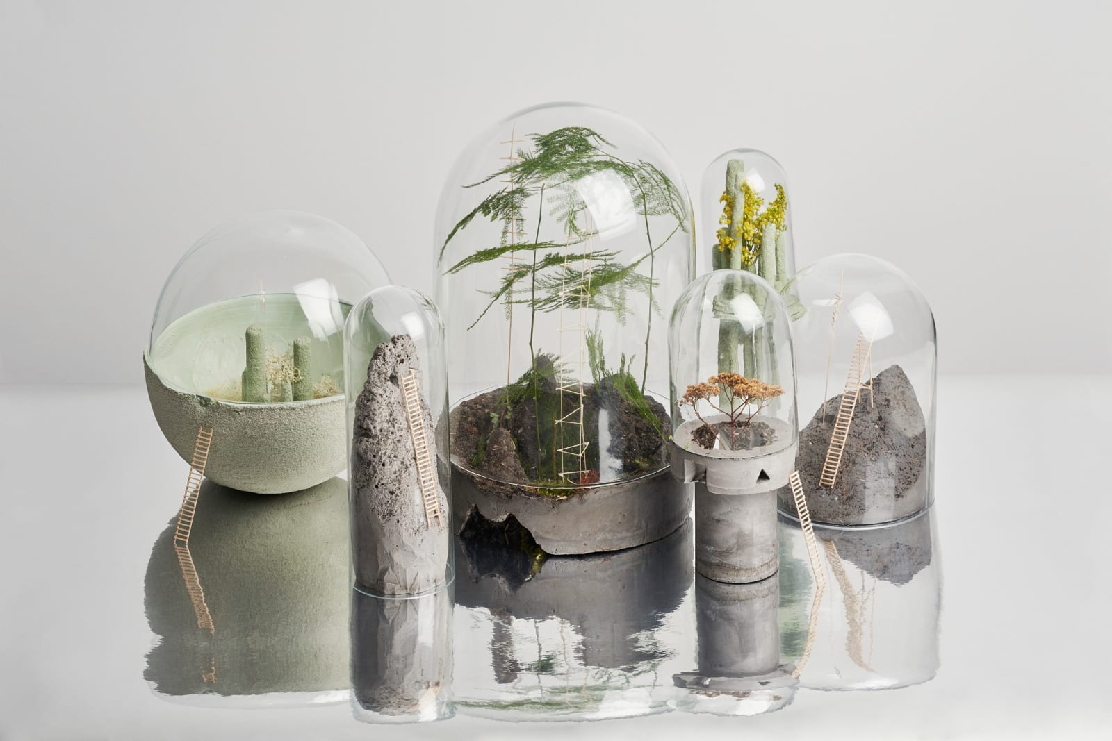Chan Sze Wing / CreateSmart Young Design Talent Award 2024
