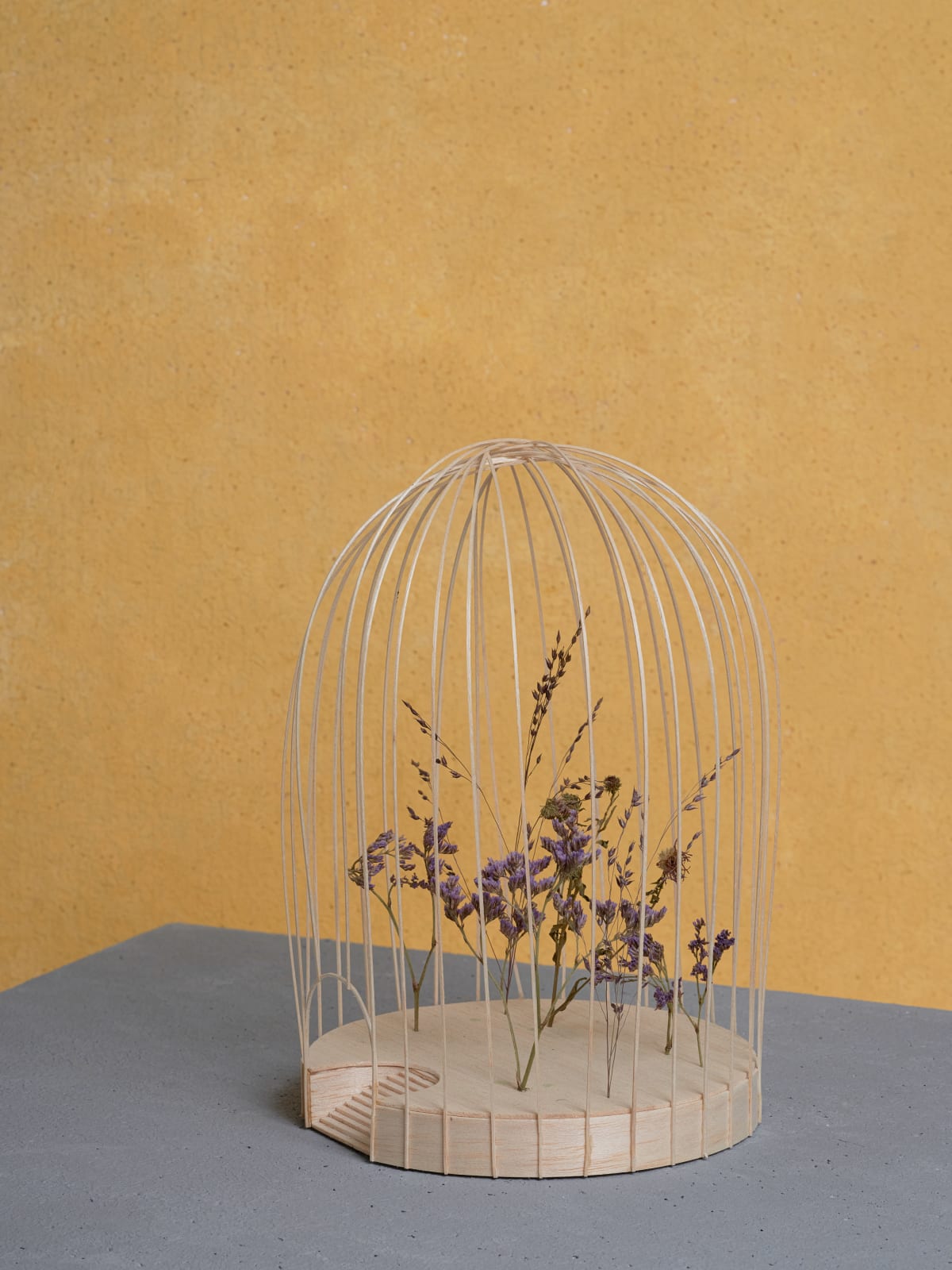 Chan Sze Wing / CreateSmart Young Design Talent Award 2024