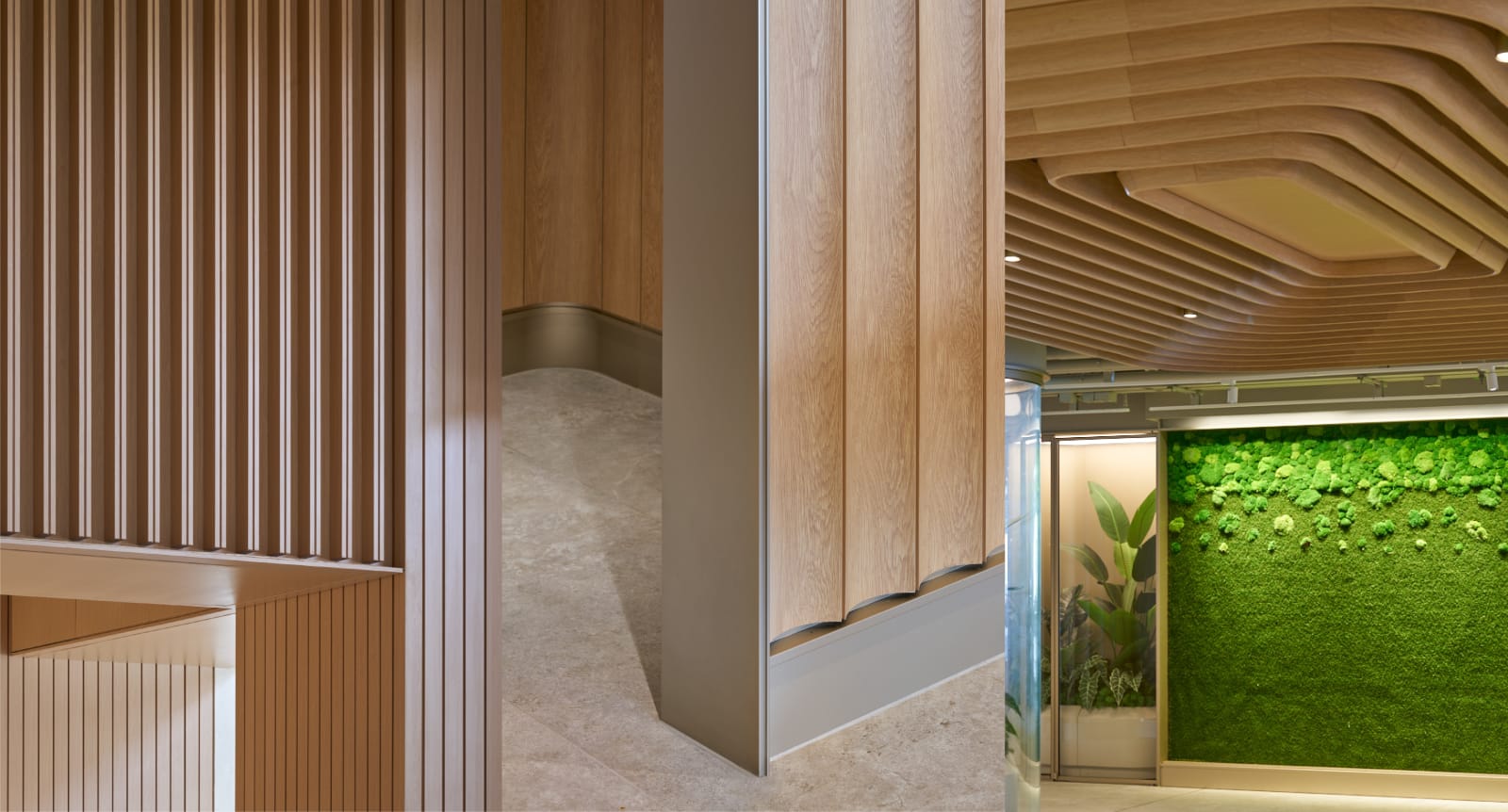 Chan Sze Wing / CreateSmart Young Design Talent Award 2024