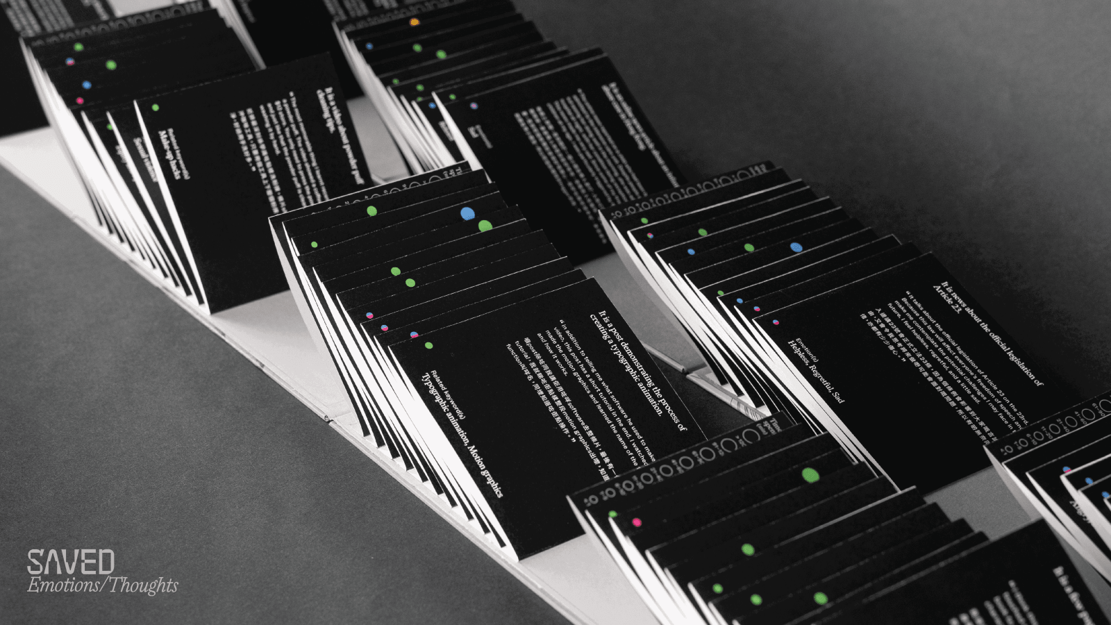 Zoe Kwok Hoi Yan / PolyU School of Design Young Design Talent Award 2024
