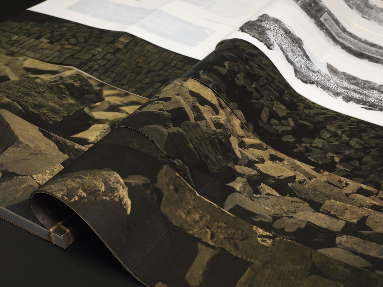 Echoes of the Wall, Jiangsu Phoenix Education Publishing,Ltd / Chinese Mainland