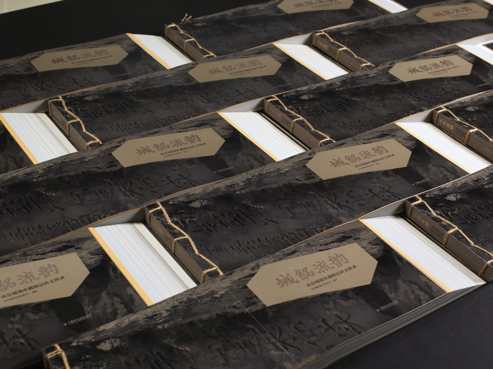 Echoes of the Wall, Jiangsu Phoenix Education Publishing,Ltd / Chinese Mainland