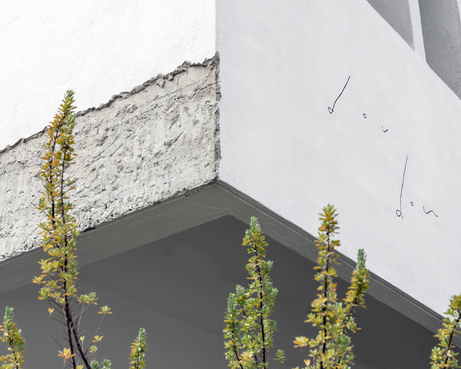 dou dou, Koyuki Inagaki / Japan