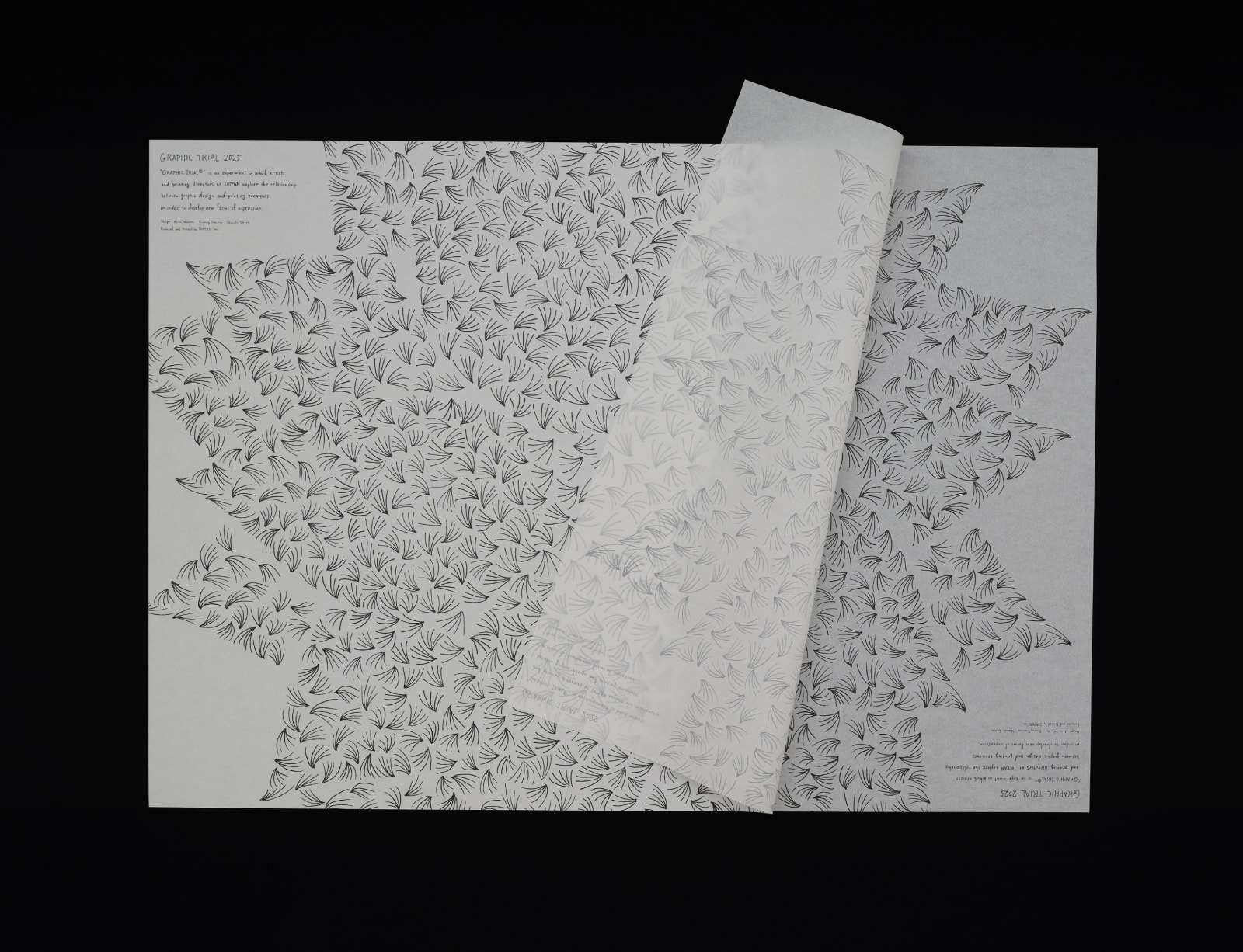 GRAPHIC TRIAL, HIDAMARI ltd. / Japan