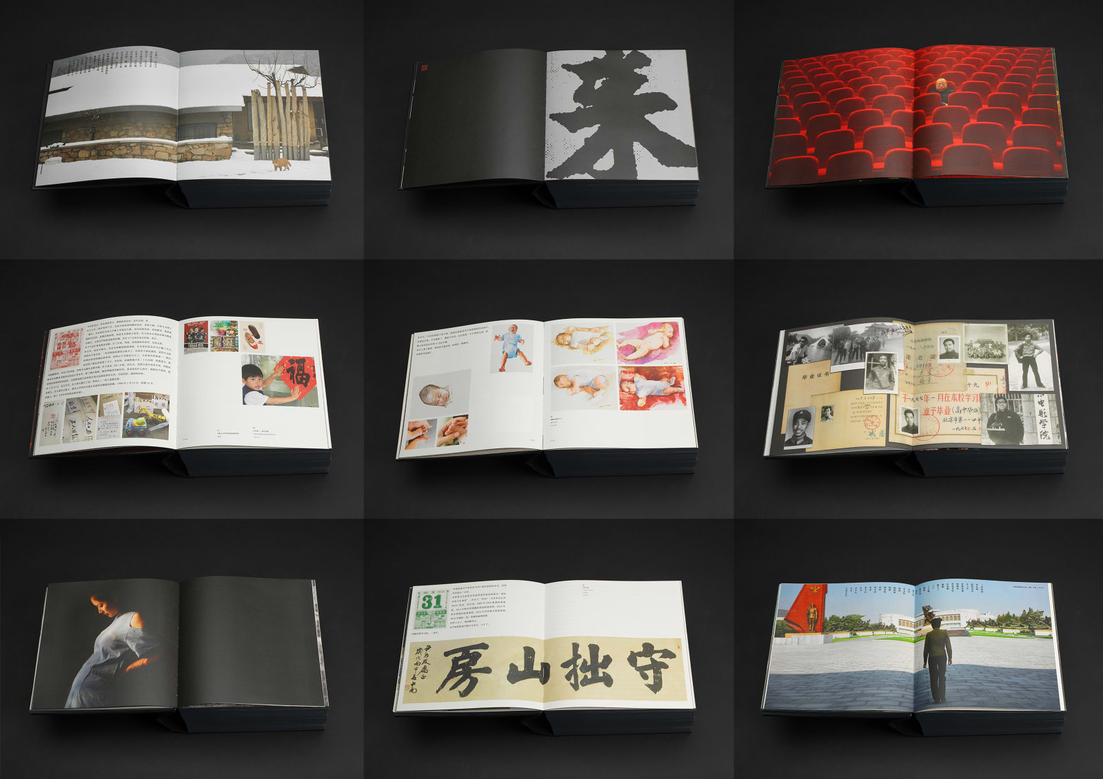 Dream, Sun Wenbin / Chinese Mainland