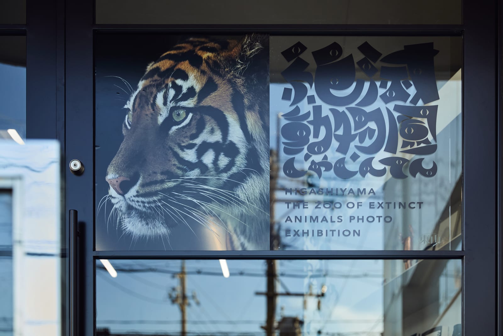 EXTINCT ANIMALS PHOTO EXHIBITION, MIKATA / Japan