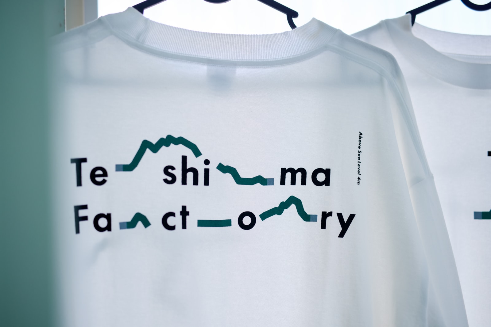 Teshima Factory, 6D-K co.,Ltd. / Japan