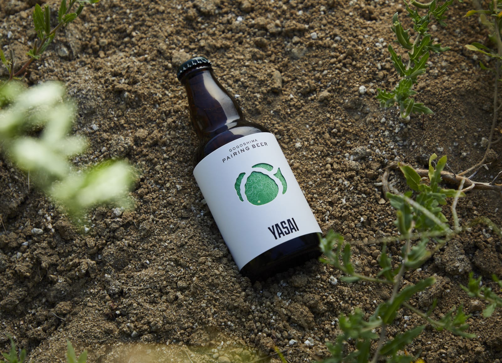 GOGOSHIMA PAIRING BEER, aizawa office / Japan