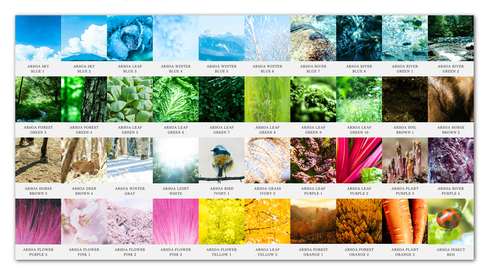 ARSOA HEALTH CARE, canaria inc. / Japan