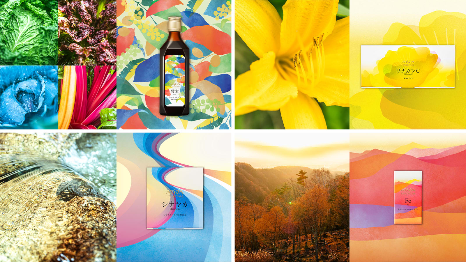 ARSOA HEALTH CARE, canaria inc. / Japan