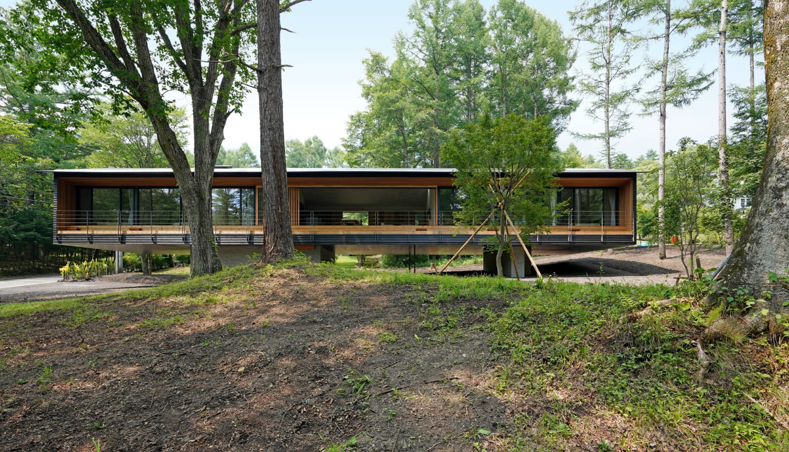 Float in the Forest / Japan, SOGO AUD / Japan