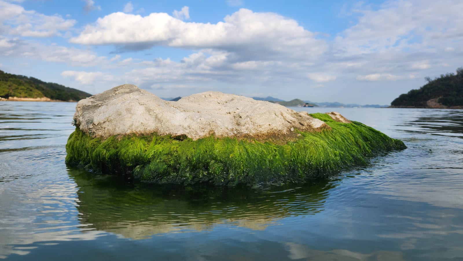Island Synchronisation / Hong Kong, DOJO Studio + Urbanroom / Hong Kong