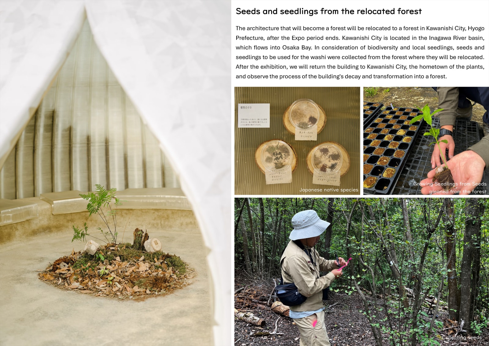 Foresting Architecture / Japan, TAKENAKA CORPORATION / Japan