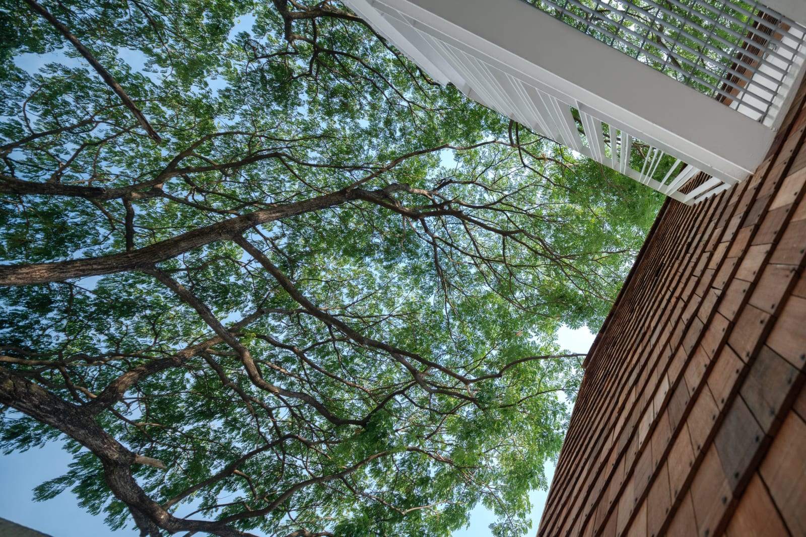 Little Shelter Hotel / Thailand, Department of Architecture Co. / Thailand