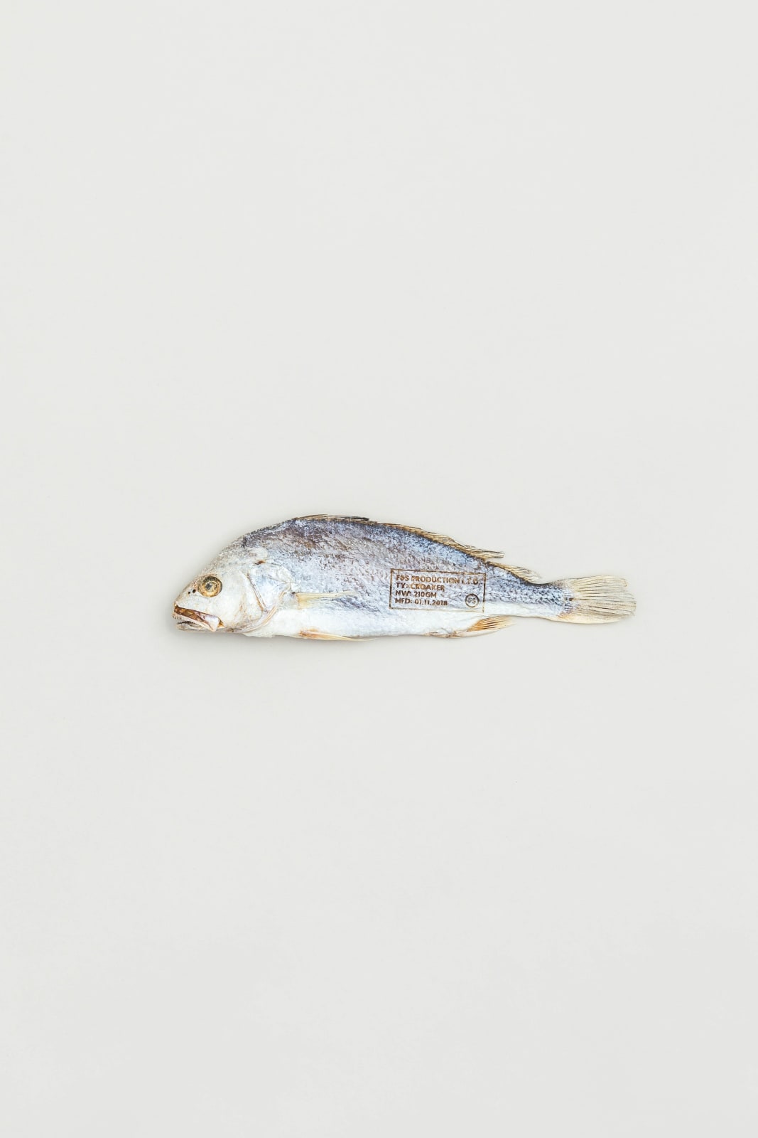 REVIVE: SALTED FISH, PMQ Management Co. Ltd. / Hong Kong