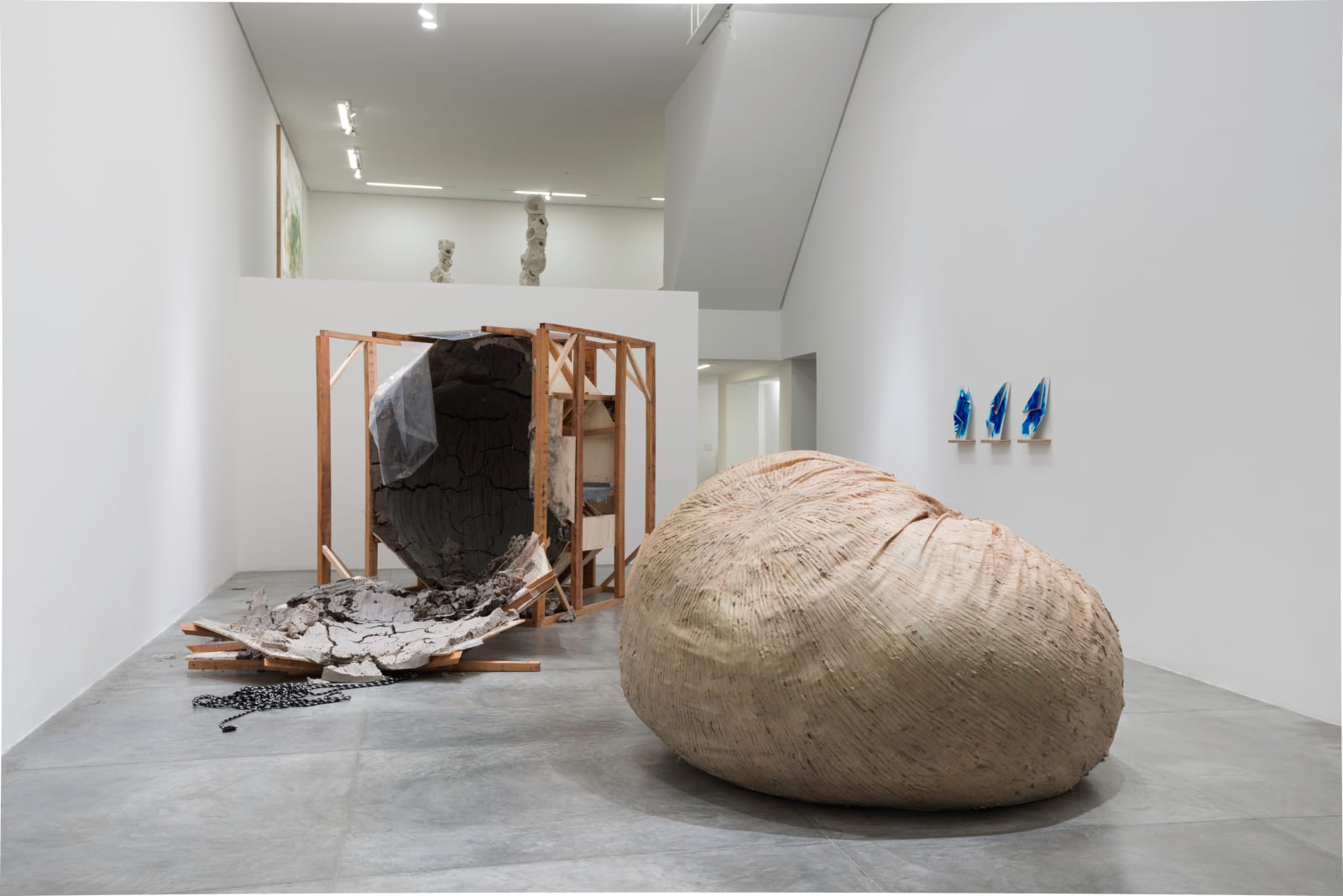 Juliana Cerqueira Leite, Blind Spot, 2013