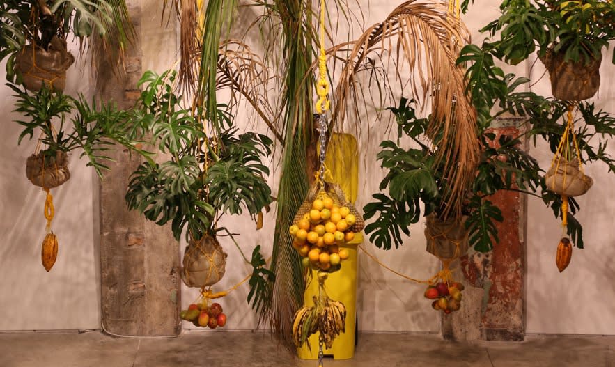 Daniel Lie, Scrotum, 2014