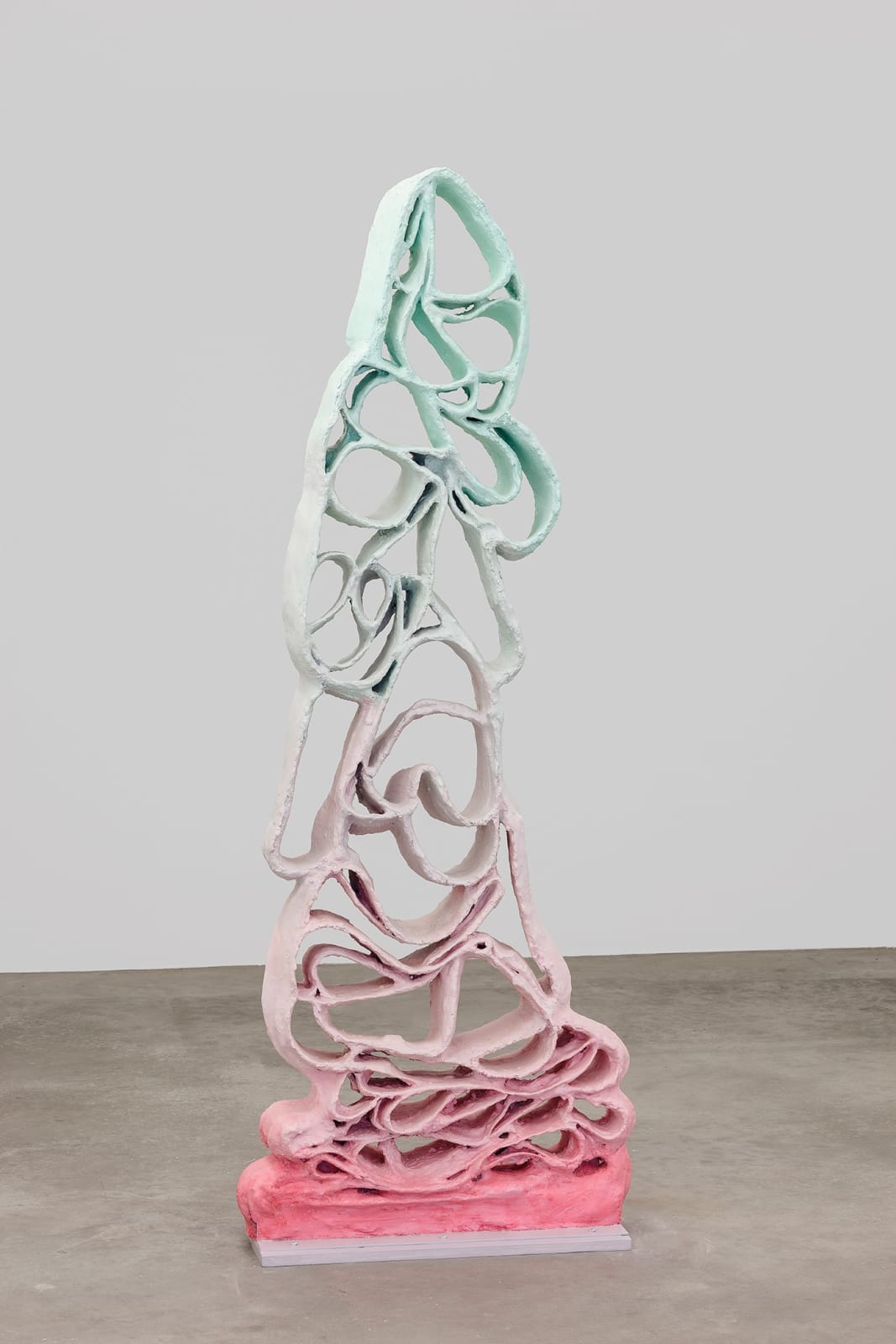 Juliana Cerqueira Leite, Soft Body 1, 2020