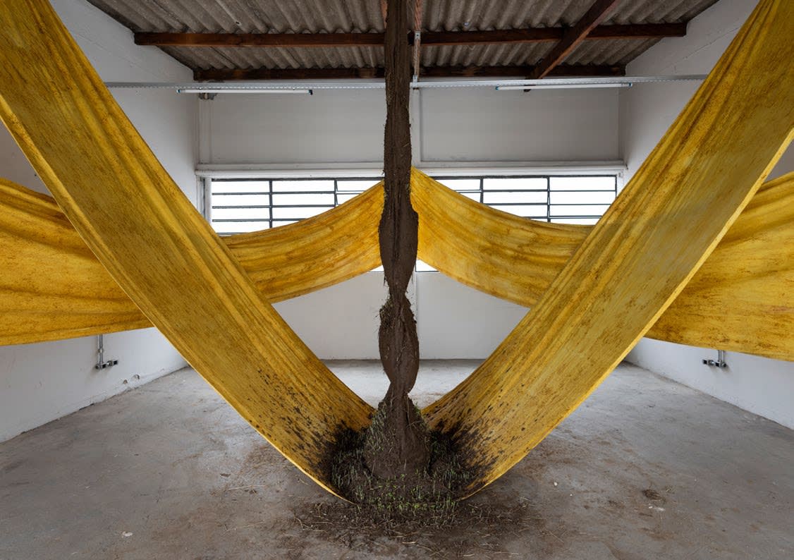 Daniel Lie, Human Supremacy: The Failed Project, 2019