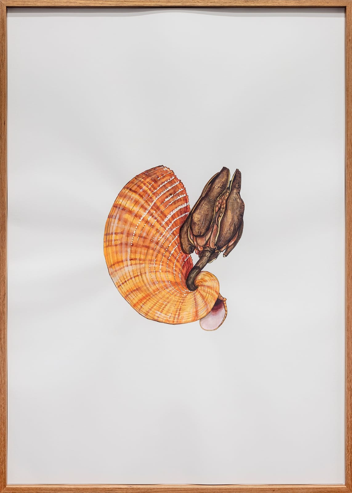 Mariana Palma, Sem Título [Untitled], 2020