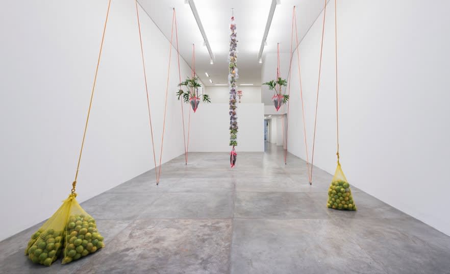 Daniel Lie, Guilhermina - Esperança, 2015
