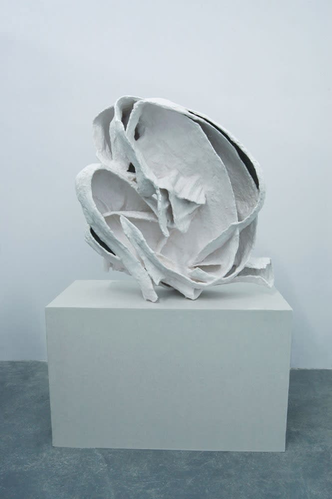 Juliana Cerqueira Leite, Curl 1, 2013