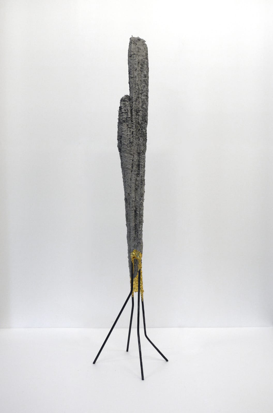 Lucas Simões, It took root at my coming / É crua a vida. Alça tripa e metal, 2018