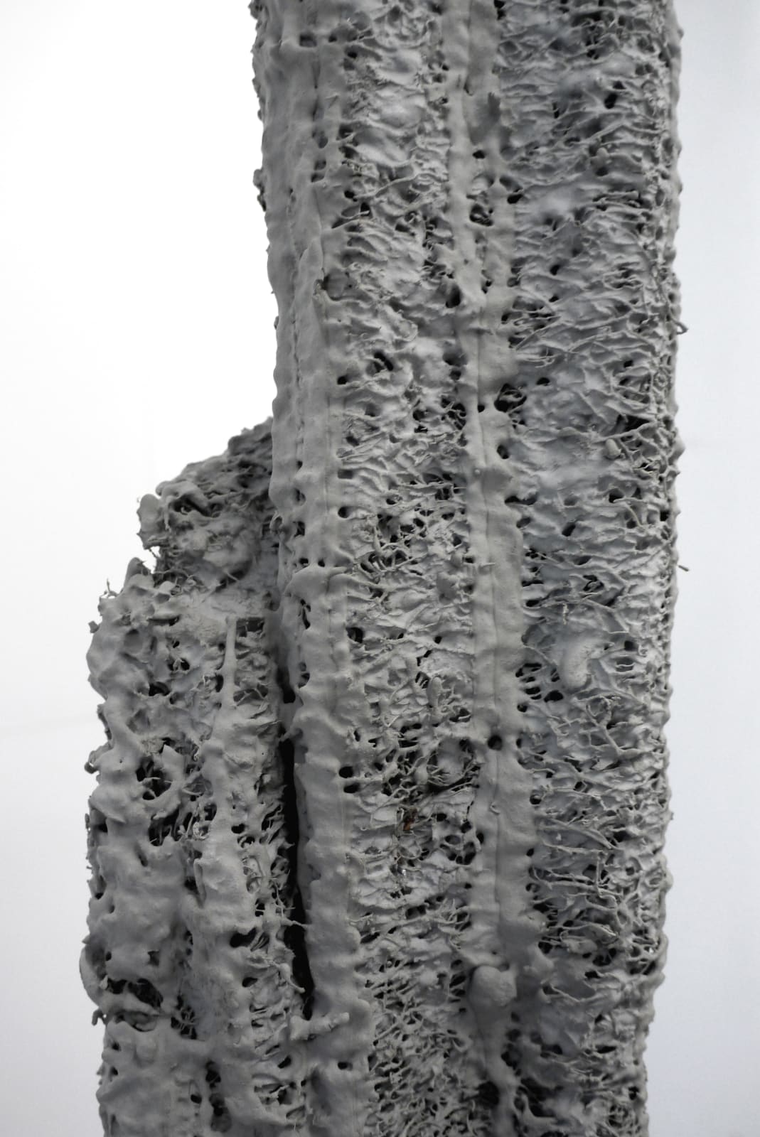 Lucas Simões, It took root at my coming / É crua a vida. Alça tripa e metal, 2018