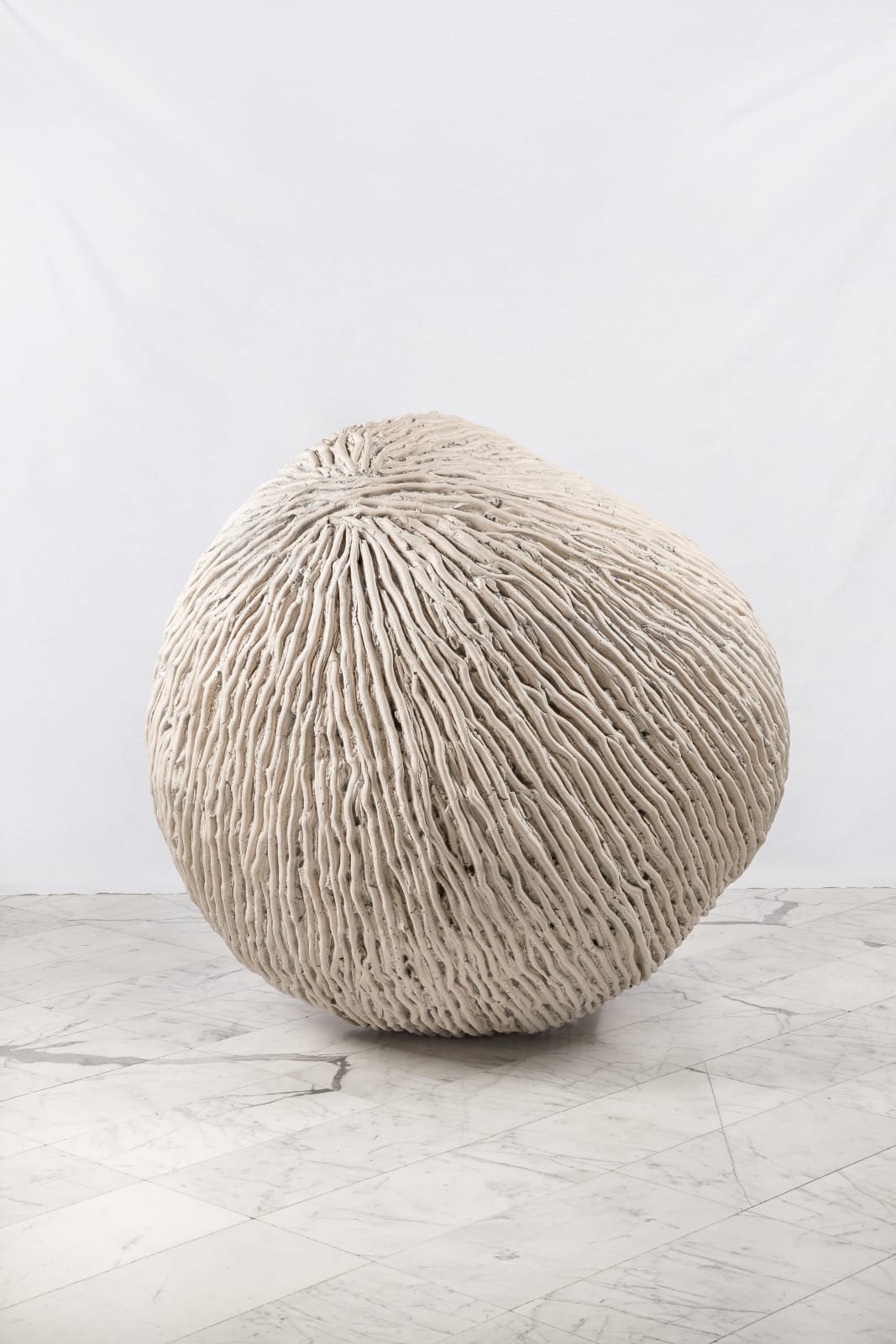 Juliana Cerqueira Leite, Anthropometry, 2019