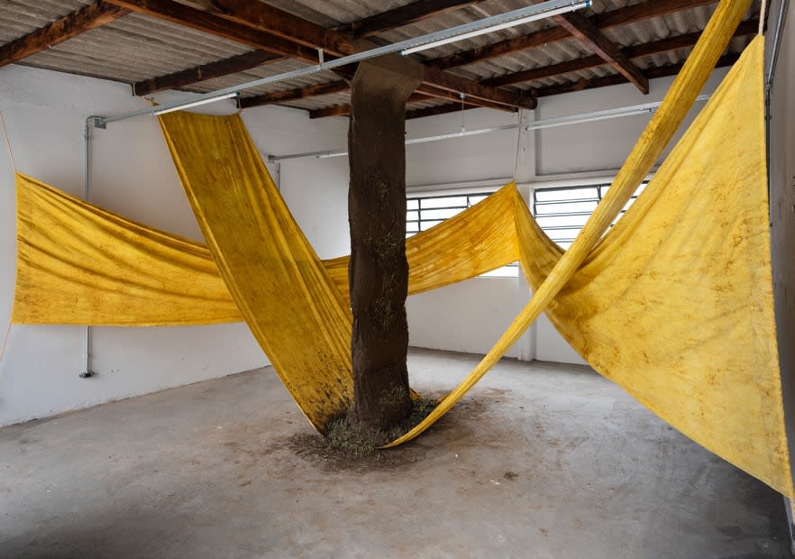 Daniel Lie, Human Supremacy: The Failed Project, 2019