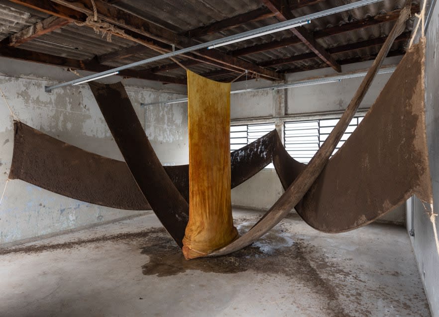Daniel Lie, Human Supremacy: The Failed Project, 2019