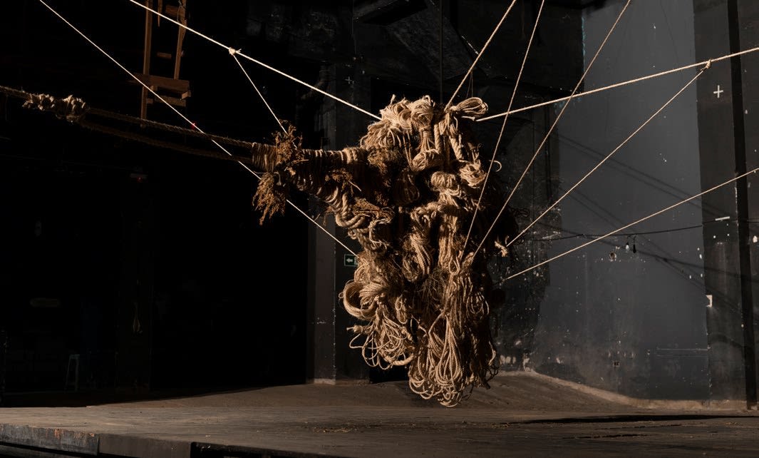 Daniel Lie, Human Supremacy: The Failed Project, 2019