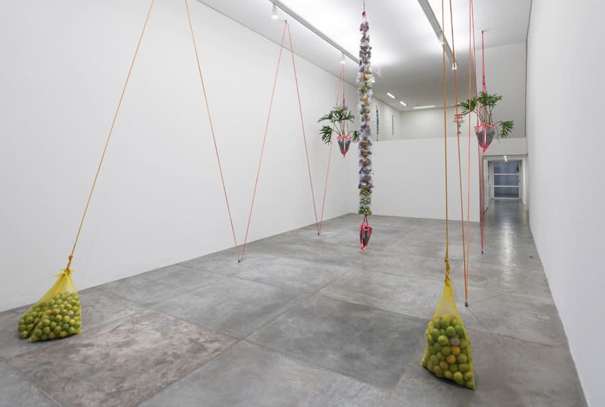 Daniel Lie, Guilhermina - Esperança, 2015