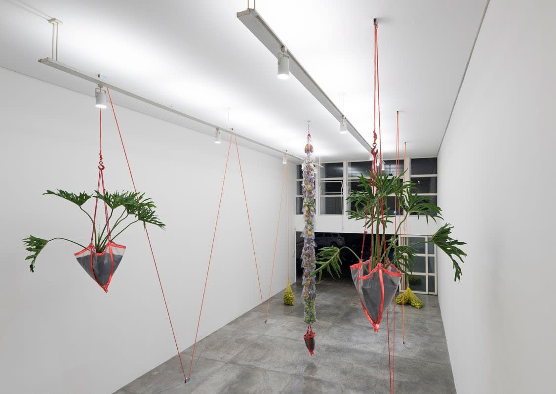 Daniel Lie, Guilhermina - Esperança, 2015