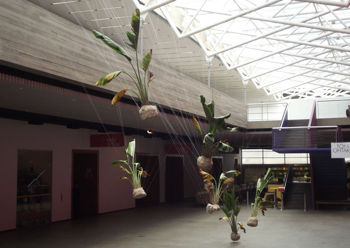 Daniel Lie, Time Trinity, 2014