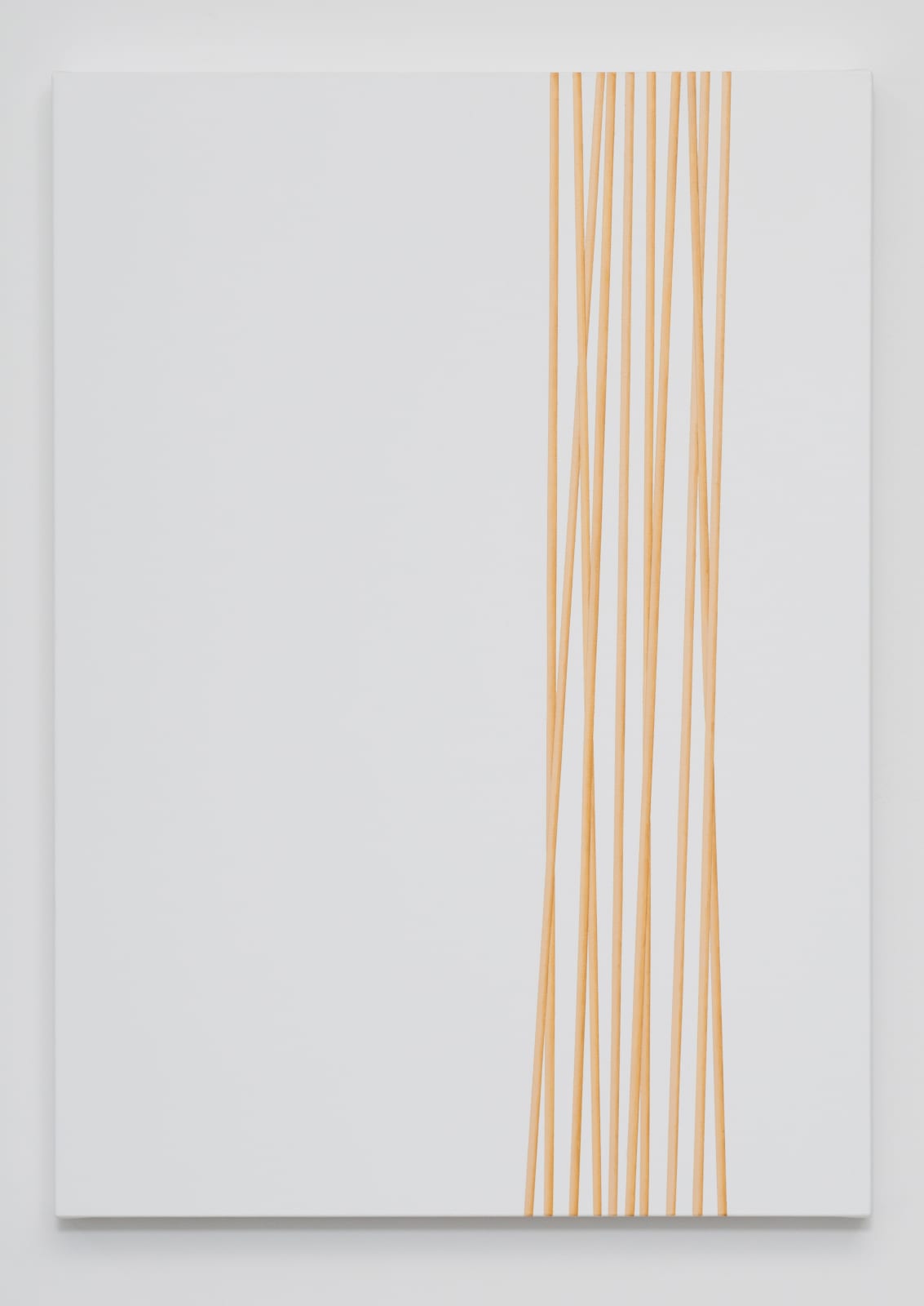 Valdirlei Dias Nunes, Untitled, 2010