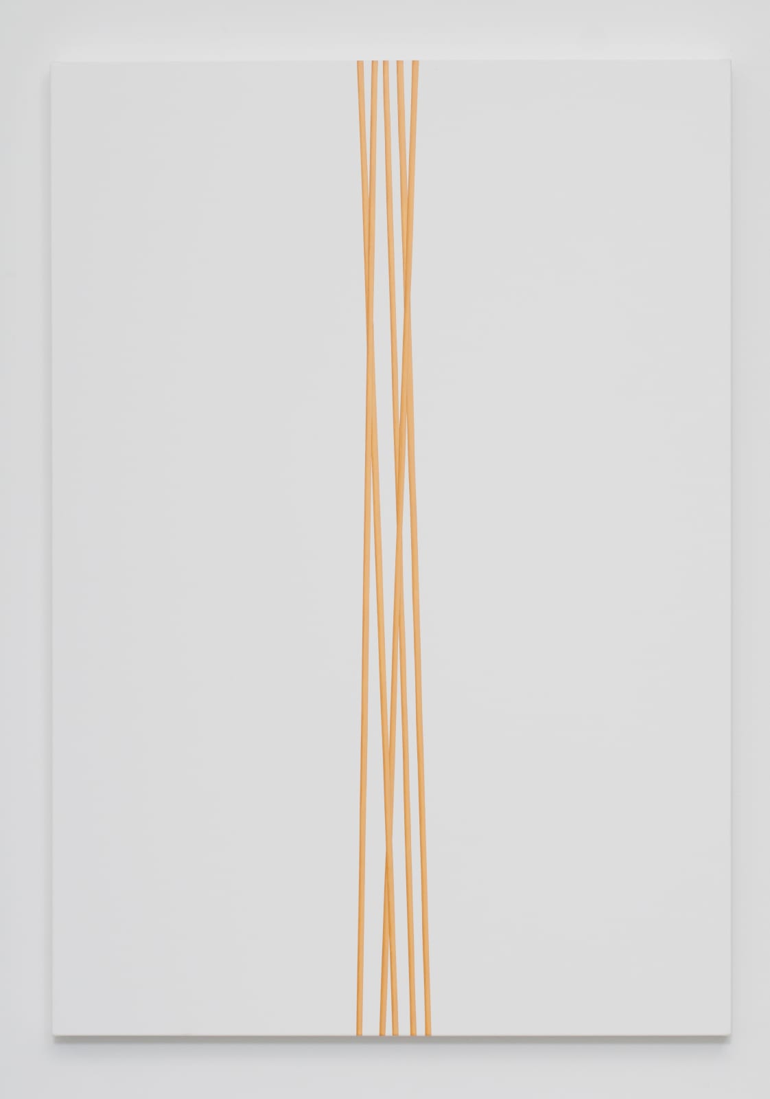 Valdirlei Dias Nunes, Untitled, 2010