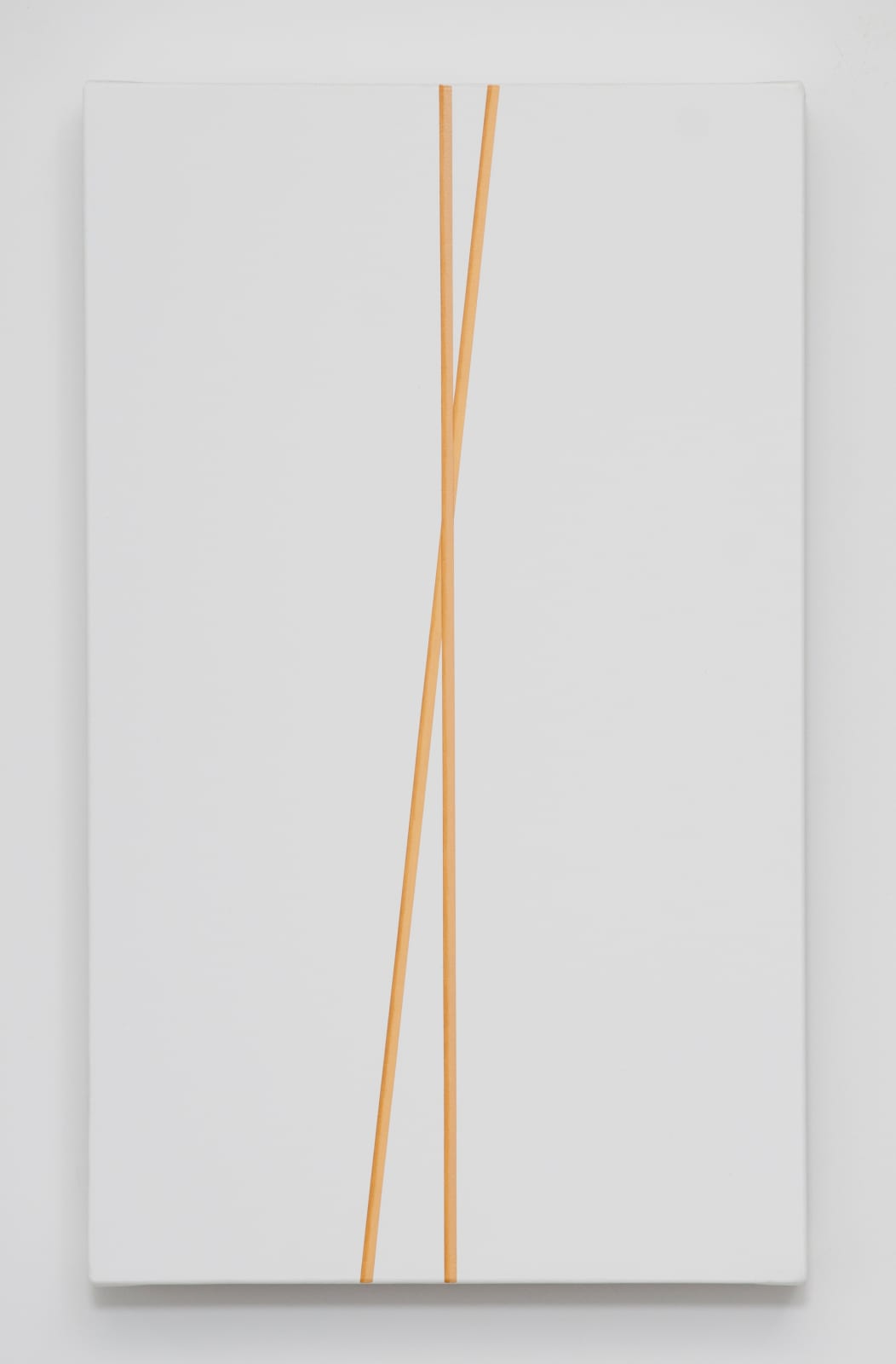 Valdirlei Dias Nunes, Untitled, 2010